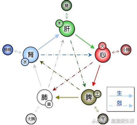 塑膠 五行|傳統文化：五行相生相剋，對應五臟，玻璃、塑料五行。